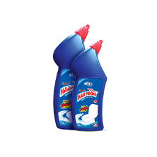 HARPOON TOILET CLEANER